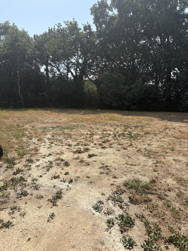 Réseau des notaires · à Ploeren · 224 952 €