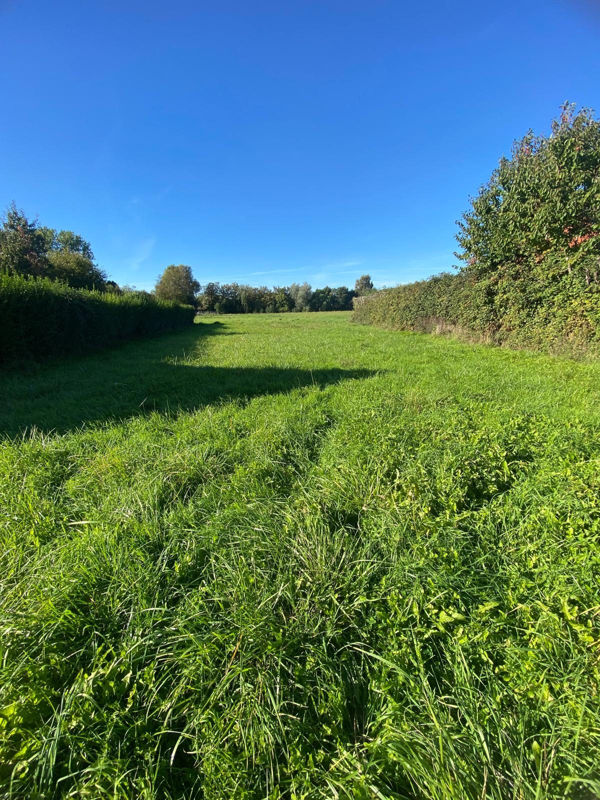Terrain 6494 m² · à Andres · 95 400 €