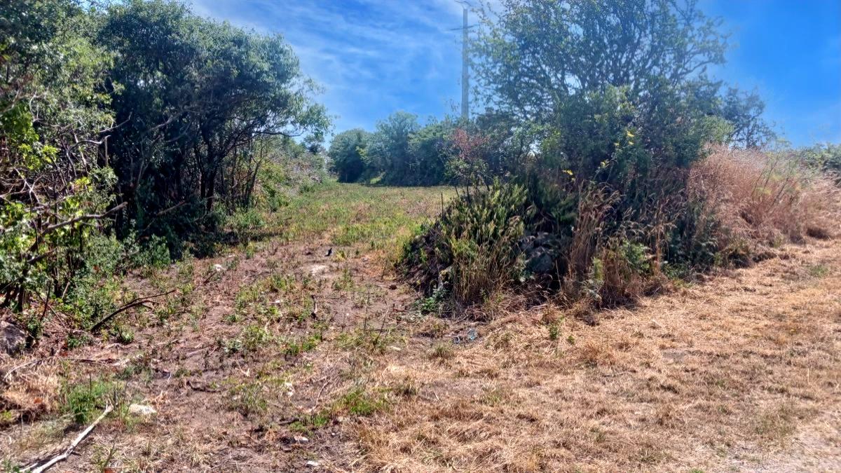 Réseau des notaires · à Vicq-sur-Mer · 69 680 €