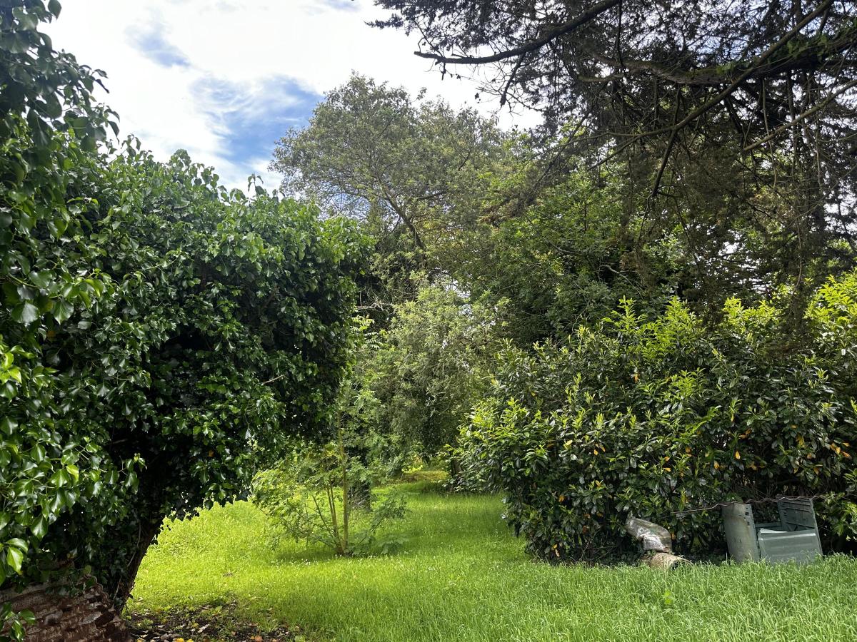 Maison 3 pièces 60 m² · à Surzur · 60 m² · 249 000 €