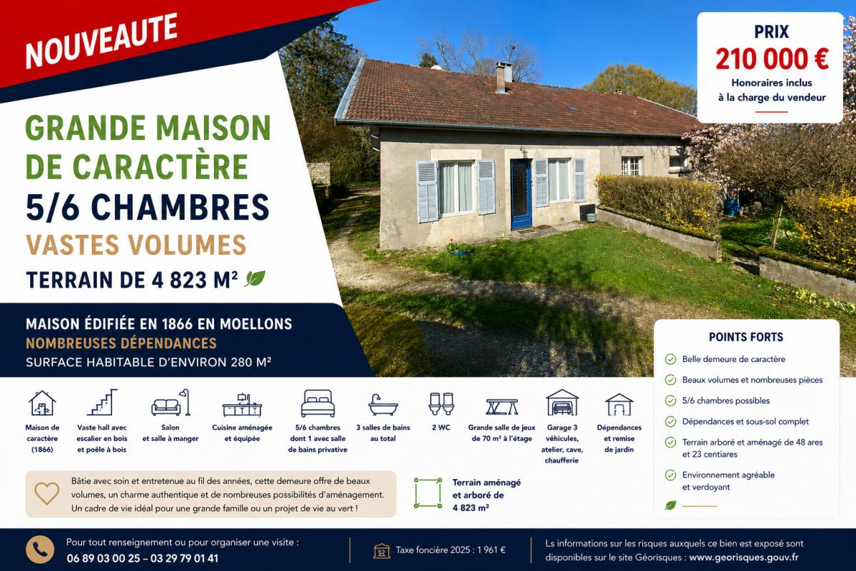 Maison 8 pièces 281 m² · à Dammarie-sur-Saulx · 280,9 m² · 210 000 €
