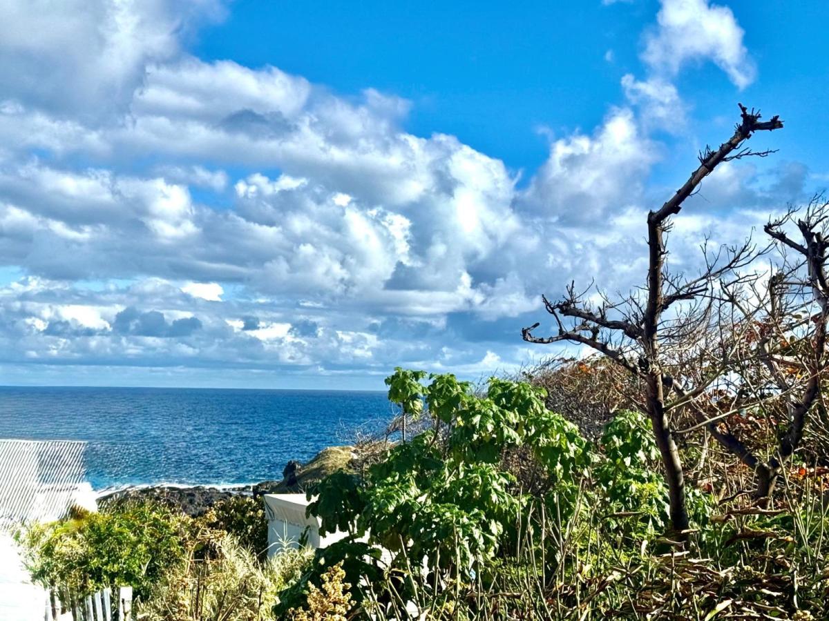 Terrain à vendre – Vue mer – Tanambo, Terre Sainte · à Saint-Pierre · 262 500 €