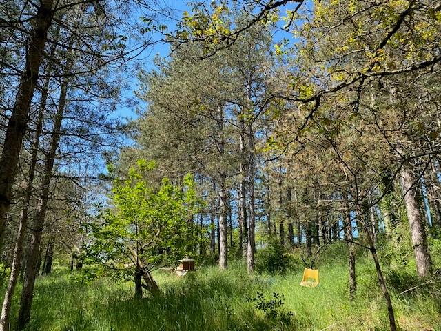 Réseau des notaires · à Montigny-sur-Vesle · 45 000 €