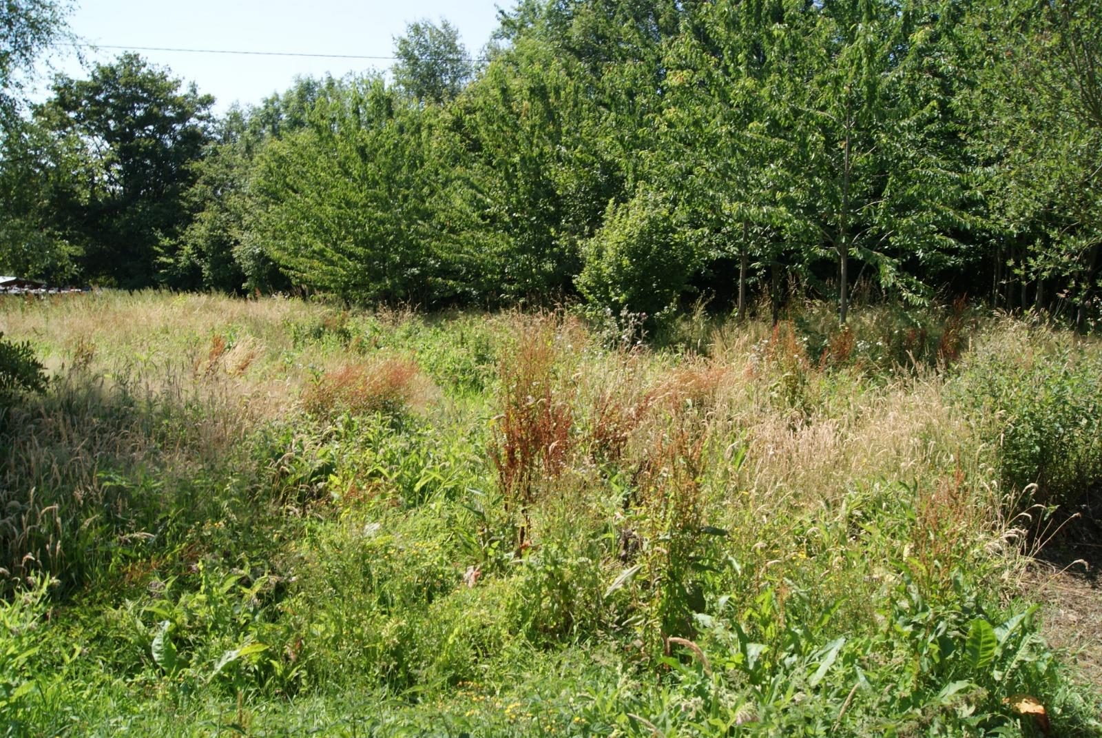 A vendre : Terrain - 1 380m² - Saint-André-d'Hébertot (14130) · 74 200 €