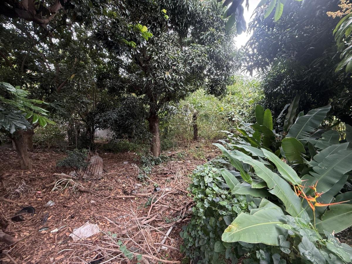 Terrain 1 290 m² · à Saint-Pierre · 354 464 €
