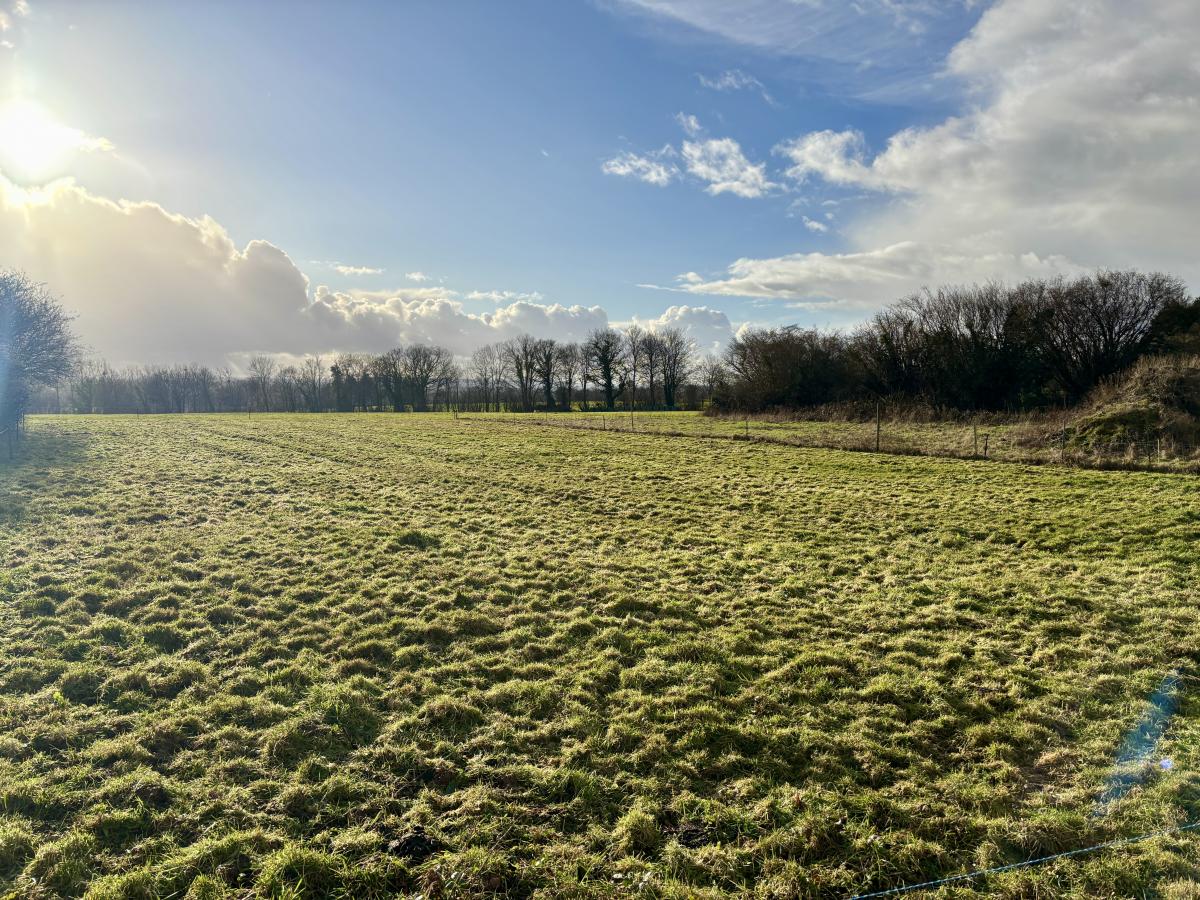 Terrain 1640 m² · à Saint-Charles-de-Percy · 1 640 m² · 22 500 €