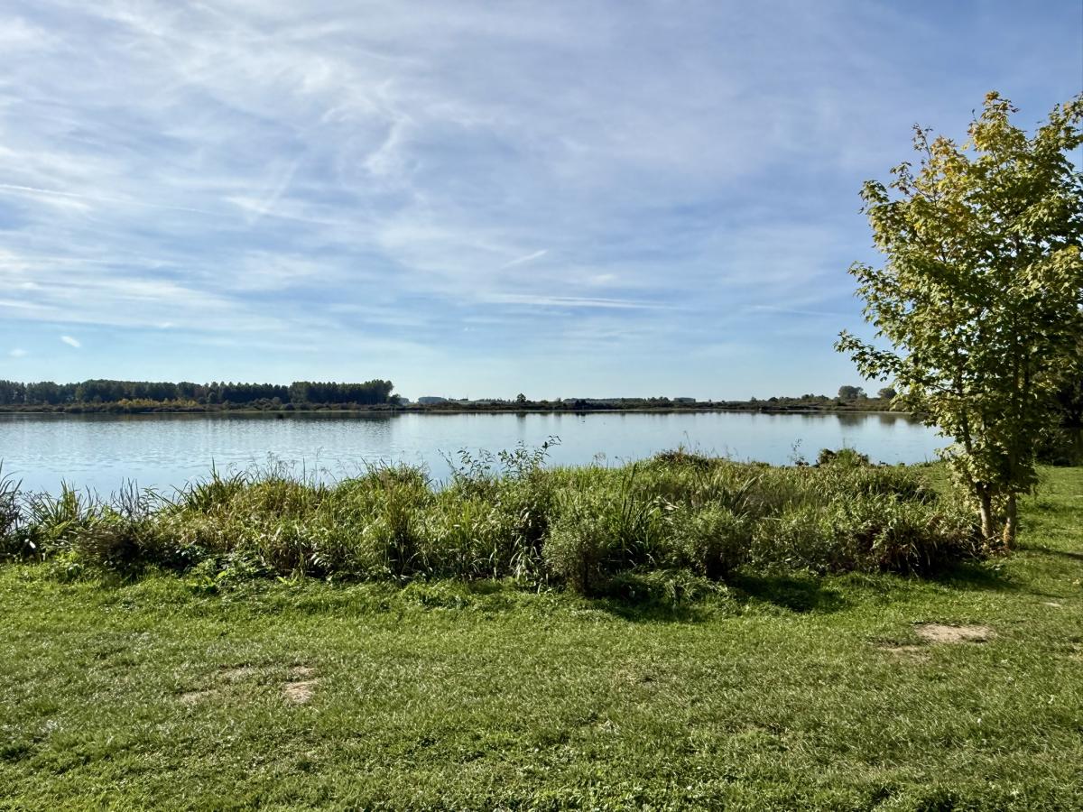 Terrain 899 m² · à Palluel · 36 000 €