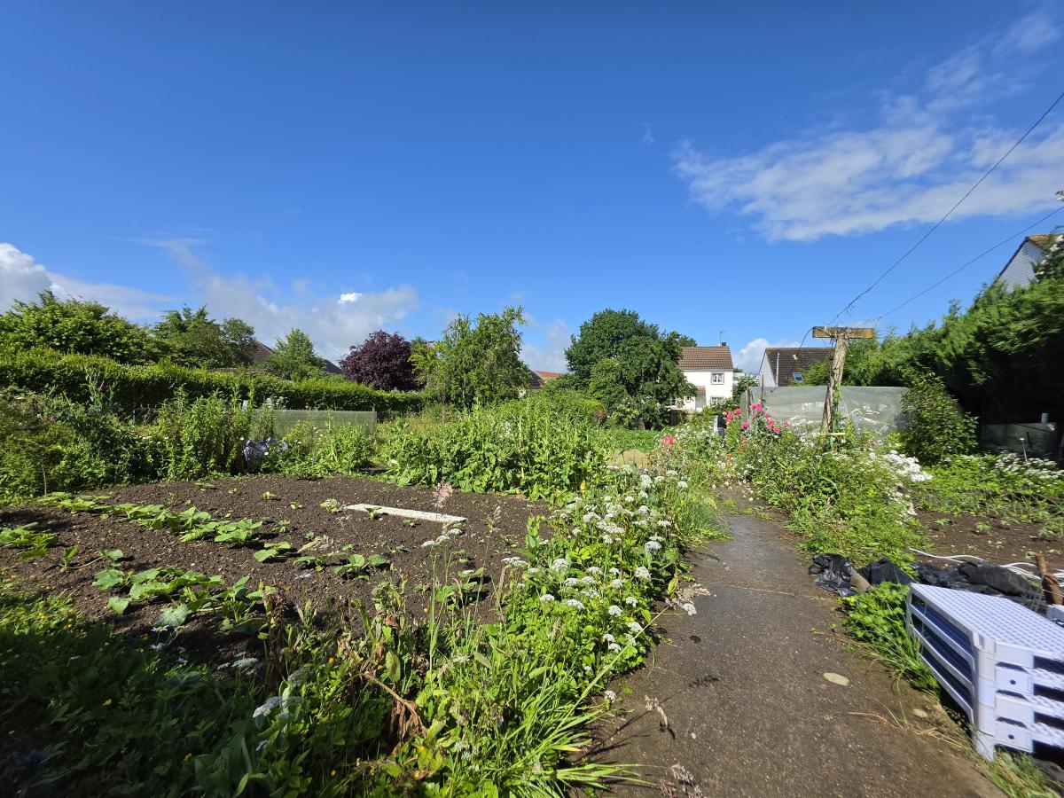 Terrain 320 m² · à Saint-Pol-sur-Ternoise · 42 400 €