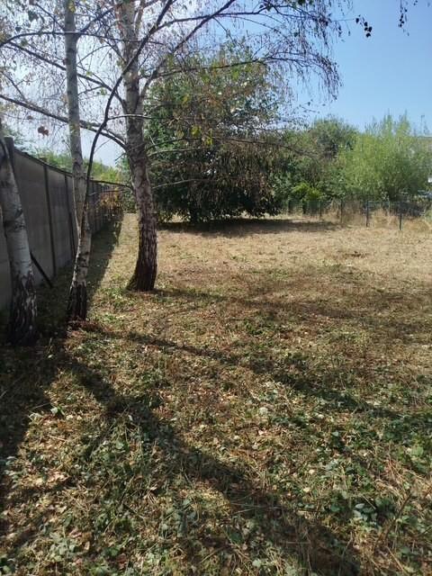 Réseau des notaires · à Raon-l'Étape · 34 000 €