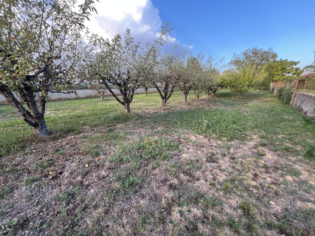 Parcelle de terrain à bâtir · à Saint-Maurice-de-Gourdans · 155 000 €