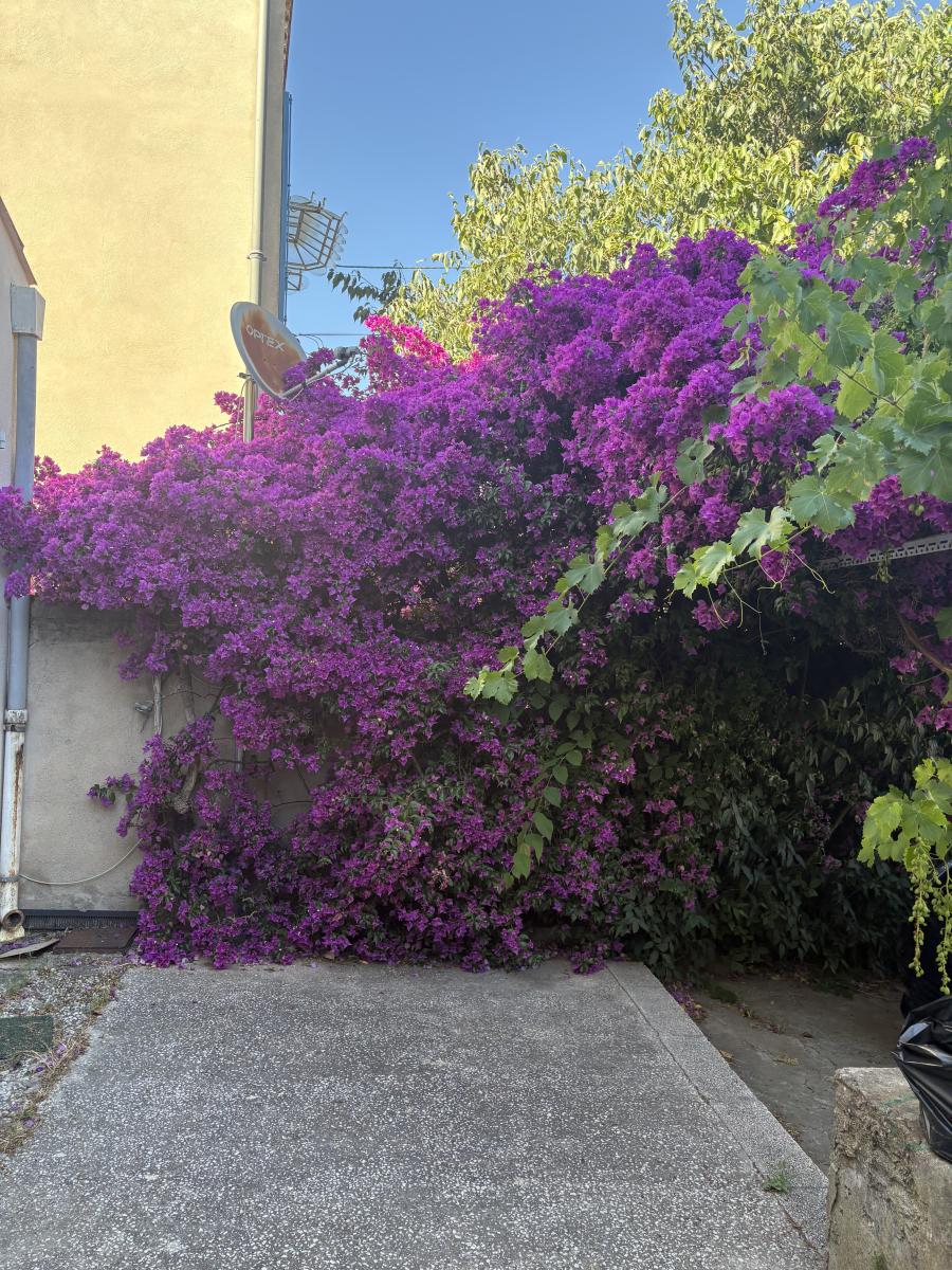 Maison 4 pièces 109 m² · à Toulon · 109 m² · 311 000 €