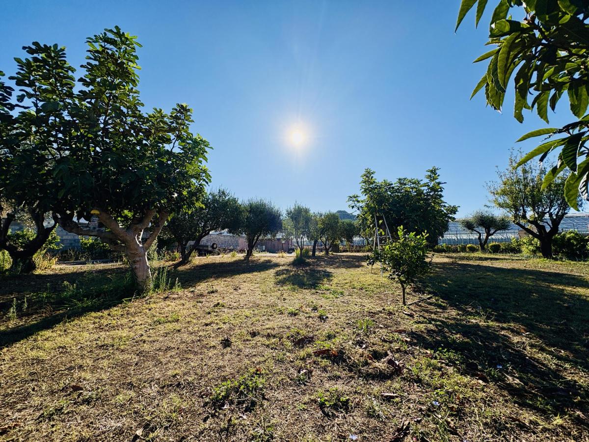 Terrain 443 m² · à La Crau · 245 000 €